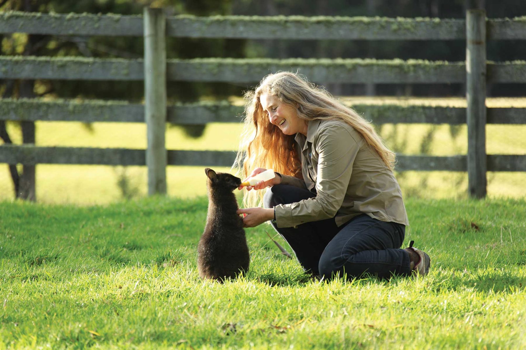 A woman feeding a baby wallaby