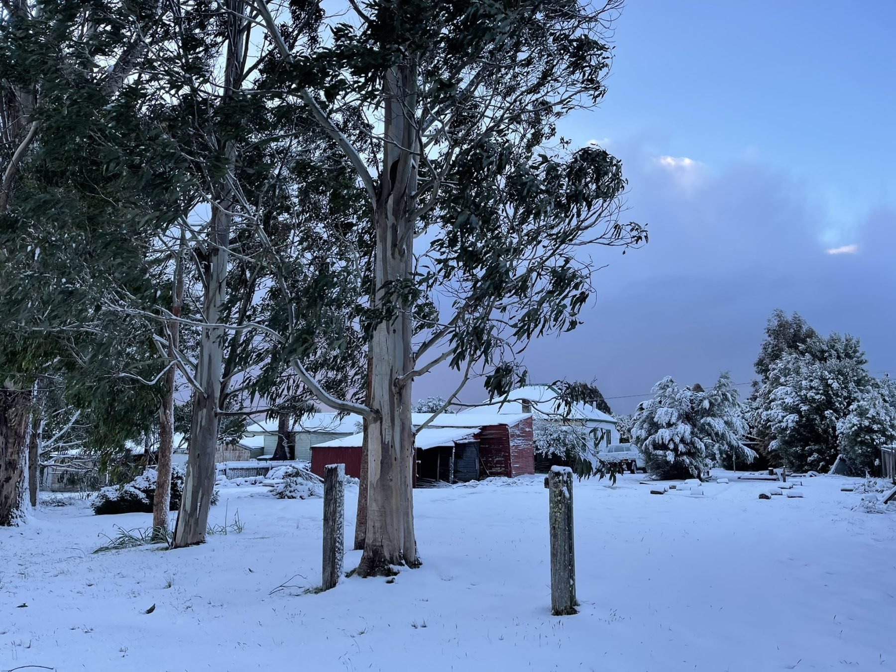 snow in Hobart