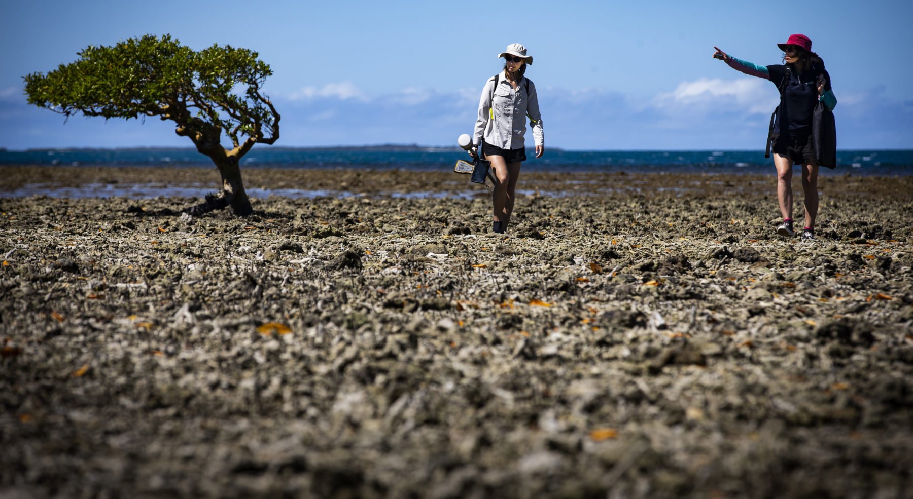 PhD student Oxana Repina and marine geographer Associate Professor Sarah Hamylton walk over coral shoals on Pipon Island