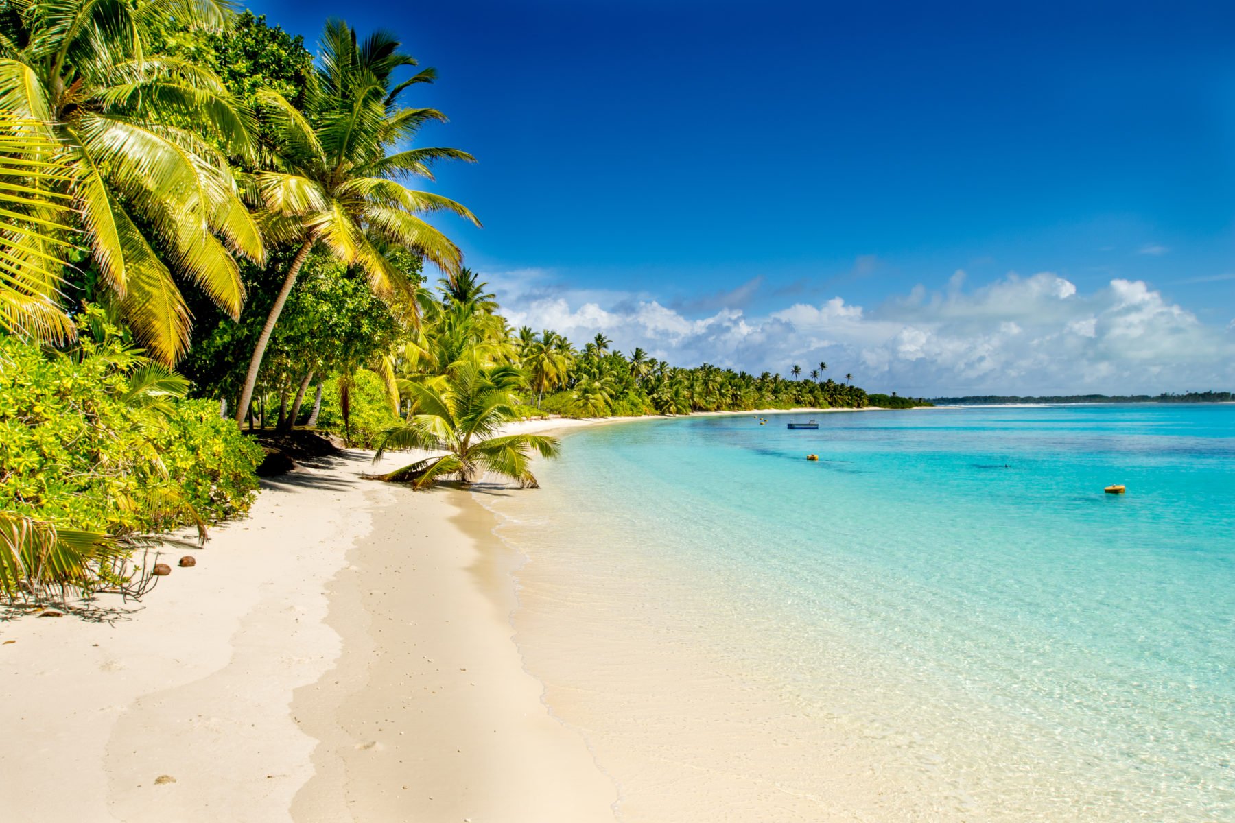 Cocos (Keeling) Islands addon Bird & Nature Week 2023 Australian