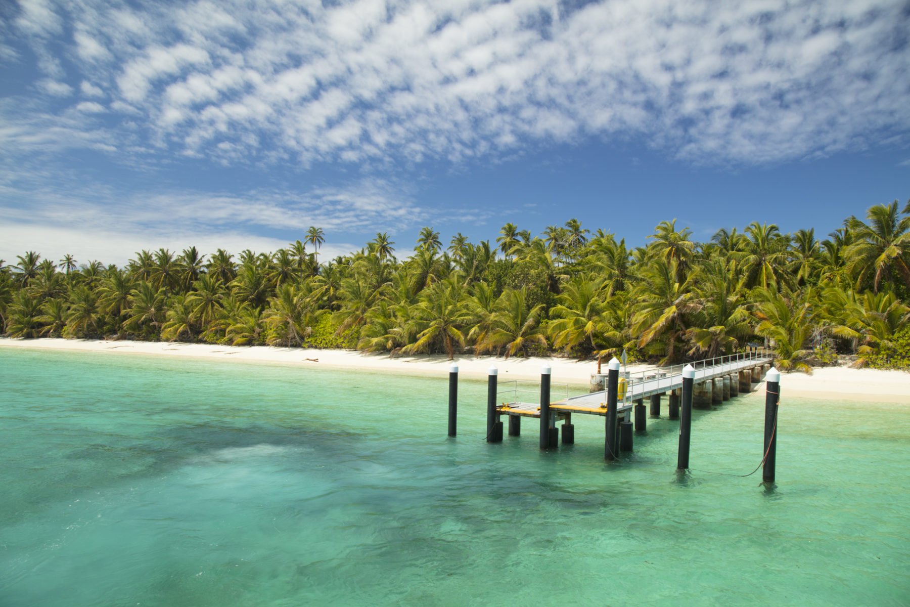 Cocos (Keeling) Islands addon Bird & Nature Week 2023 Australian