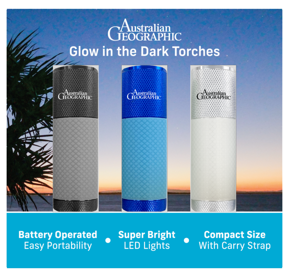 Australian Geographic Glow in the Dark Torches Set of 3 Australian