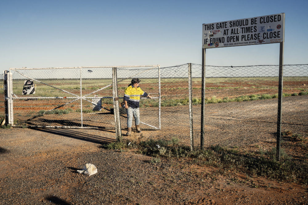 Life on the wire working Australia's famous Dog Fence Australian