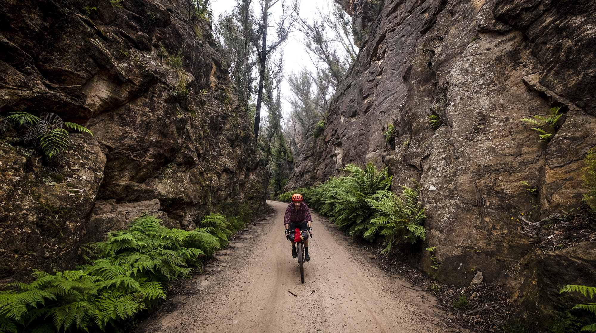 Explore the world on two wheels: The ultimate guide to bikepacking