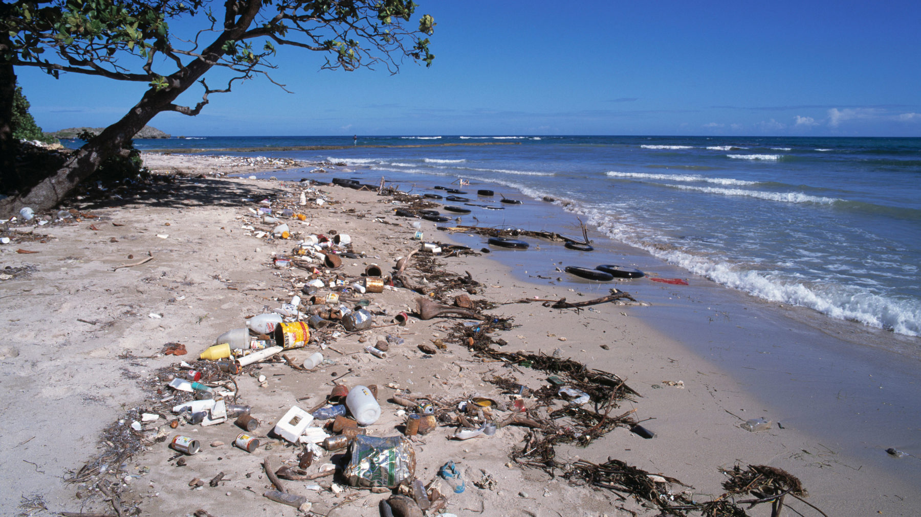 'Time to stop hitting the snooze button, Australia!' Australian