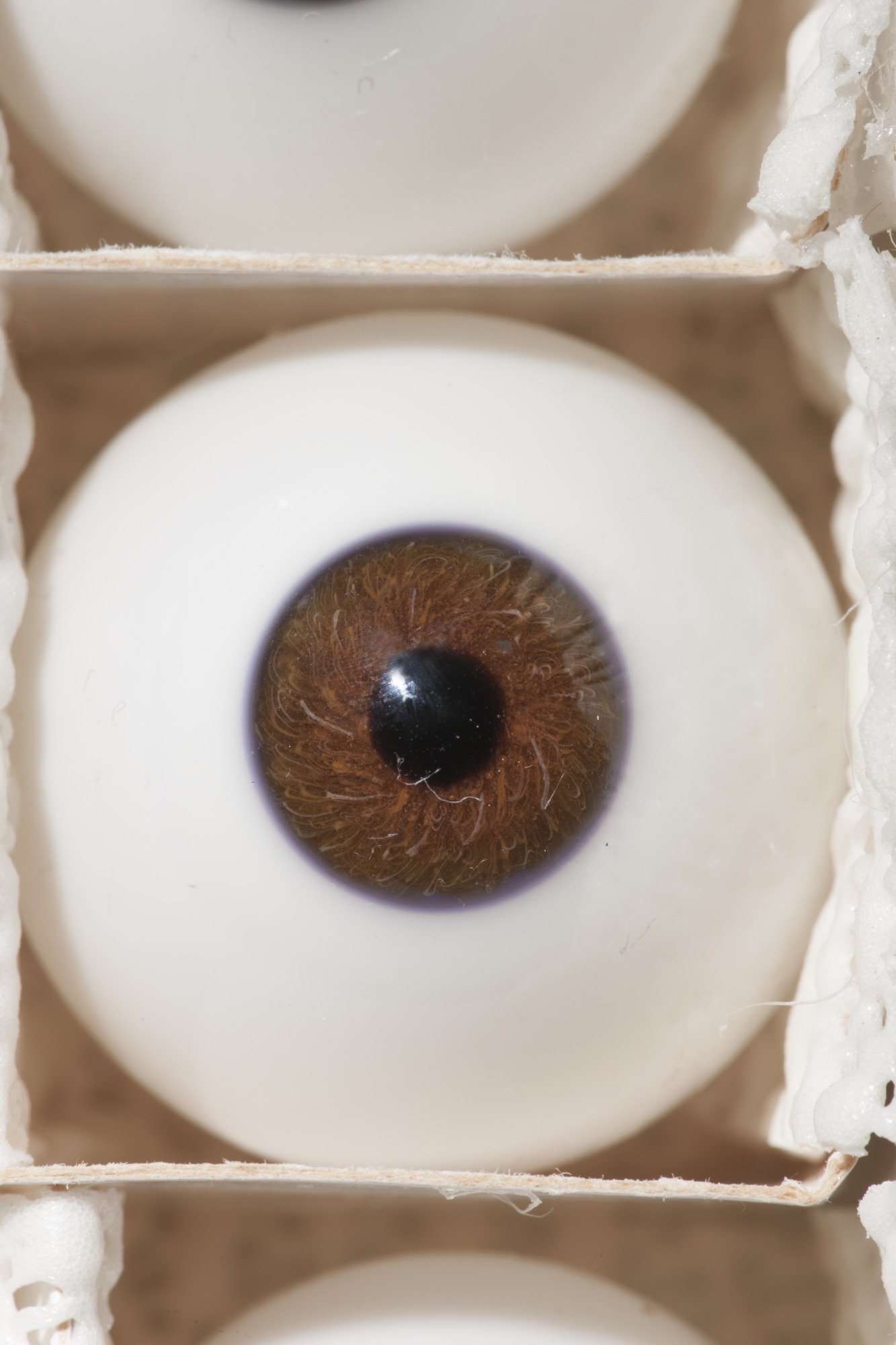 Australia's last glass eye maker Australian Geographic