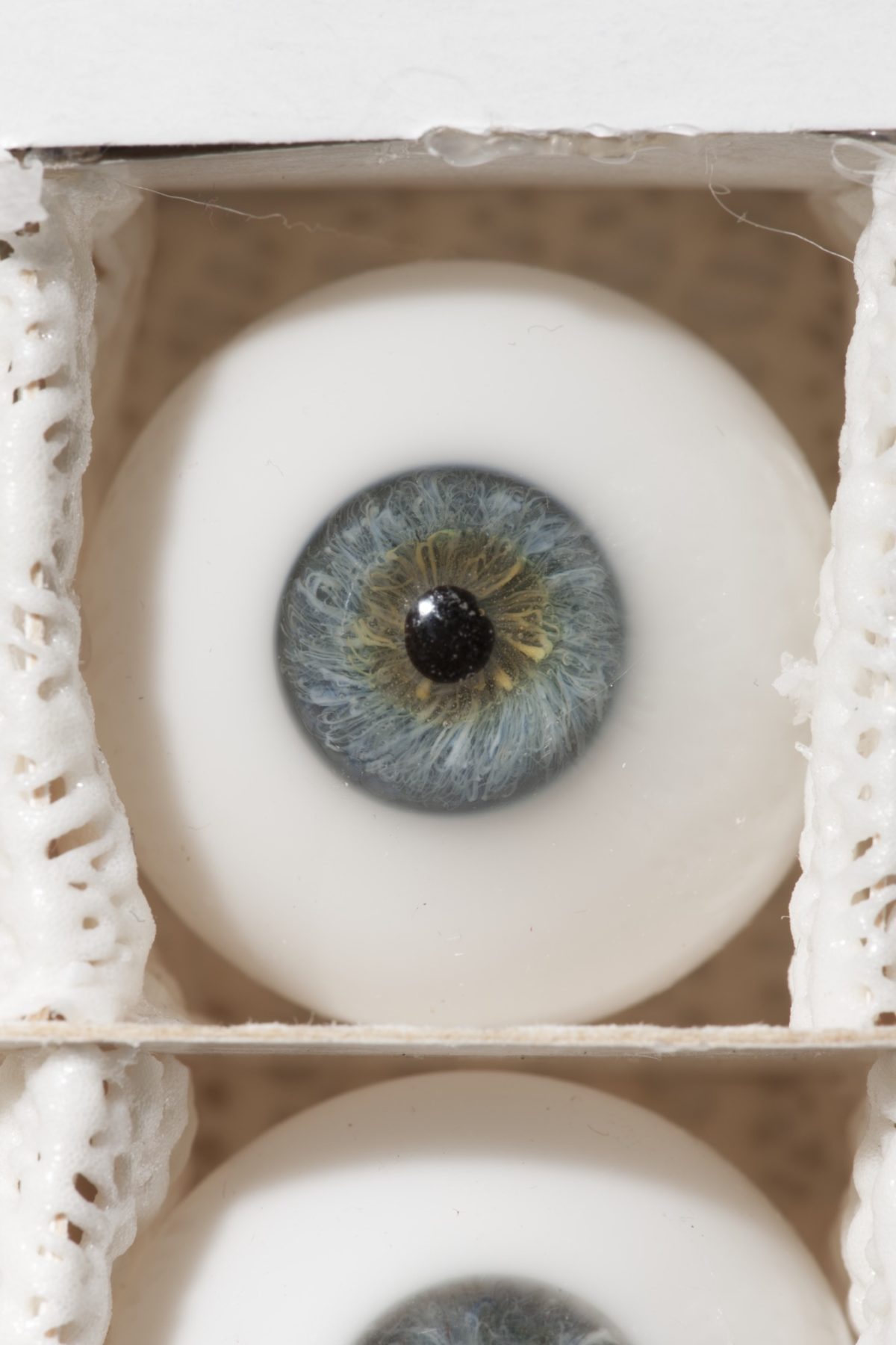 A glass eye with blue-green irises.