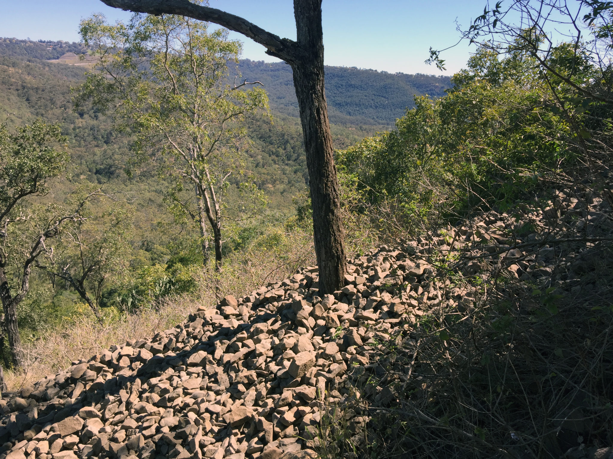 Multuggerah and the Battle of One Tree Hill Australian Geographic