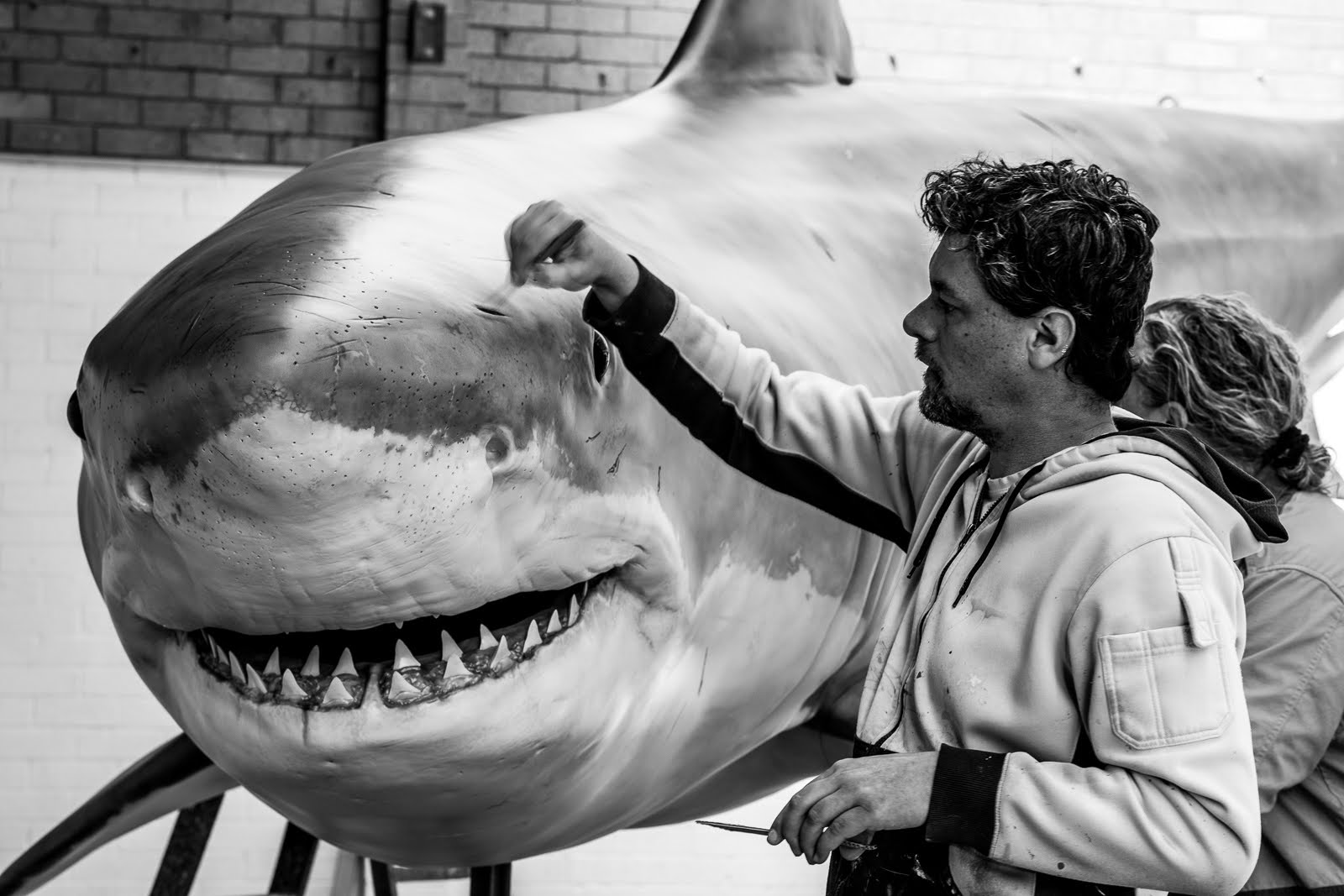 Shark out of water: the model makers bringing our finned friends to life -  Australian Geographic