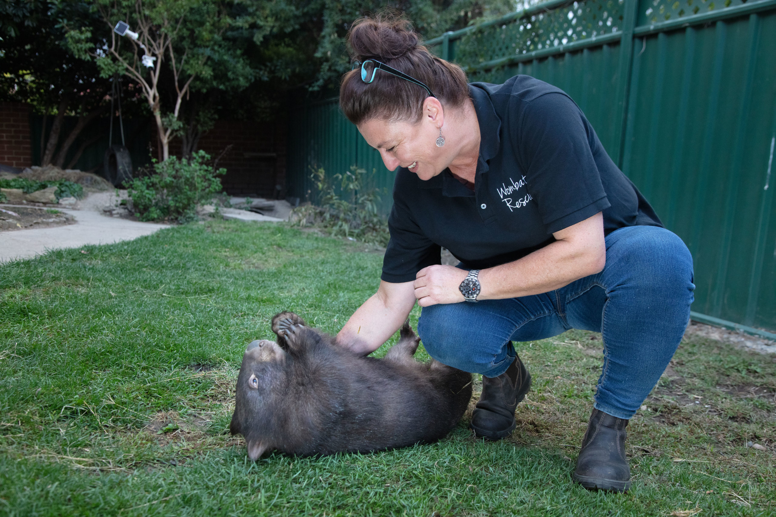 Meet the women on the front line of wombat conservation Australian Geographic