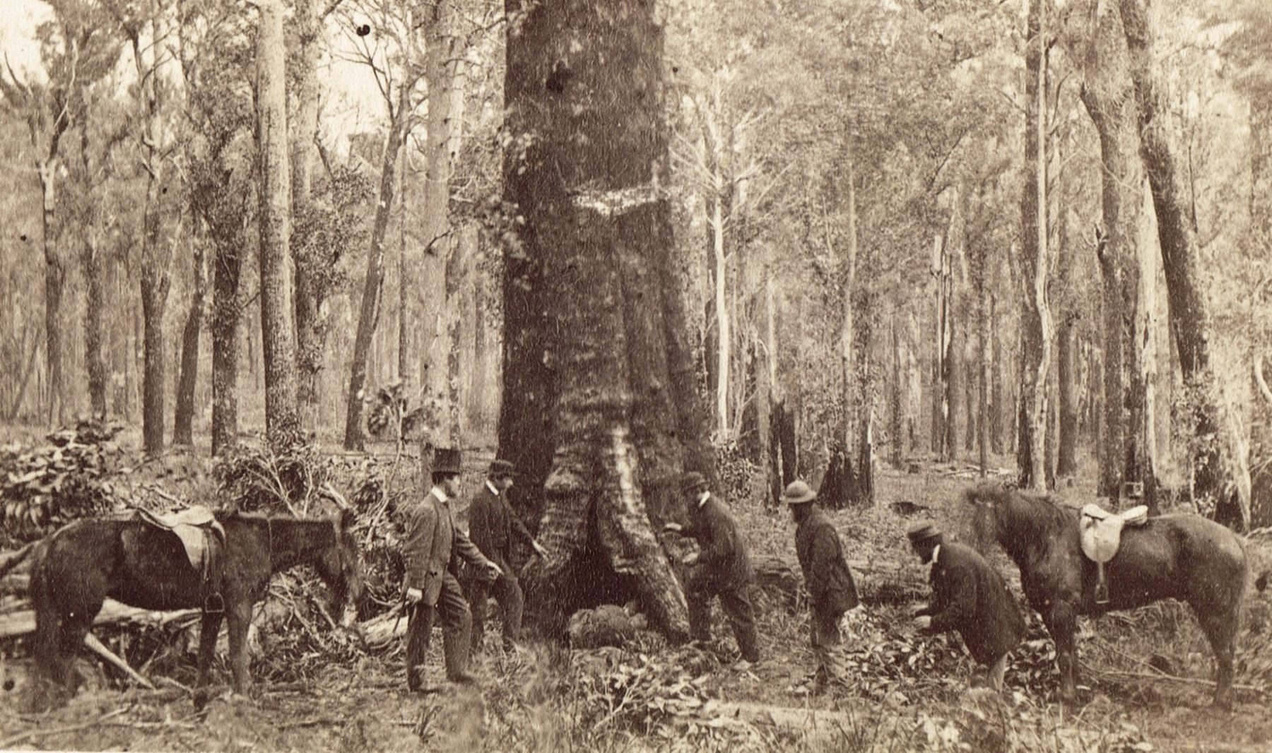 The lost children of Daylesford Australian Geographic