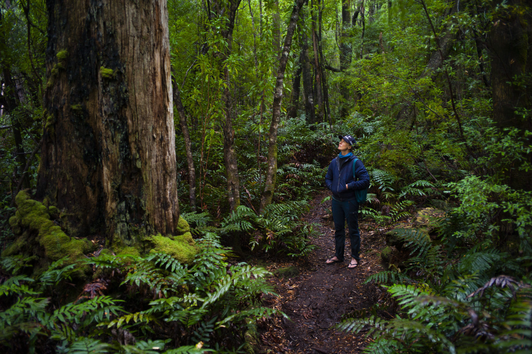 nature based tourism license tasmania