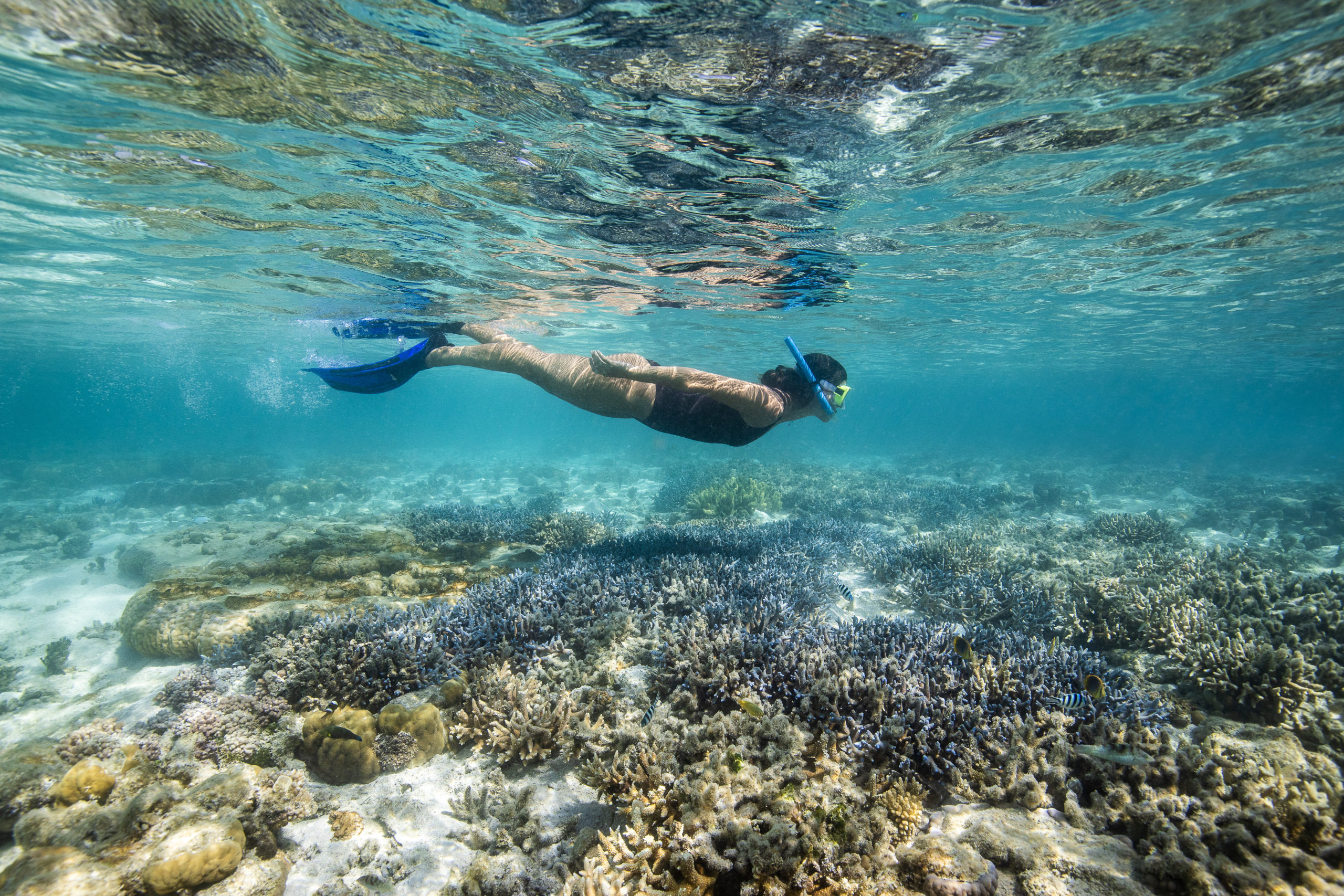 Deep dive A guide to snorkelling