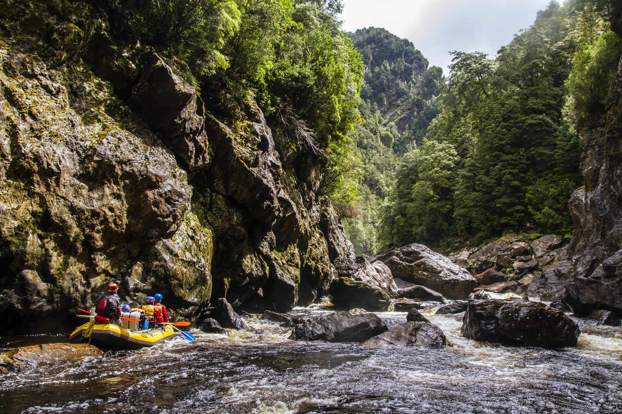 Image for article: Ultimate Aussie adventures: Rafting the Franklin River
