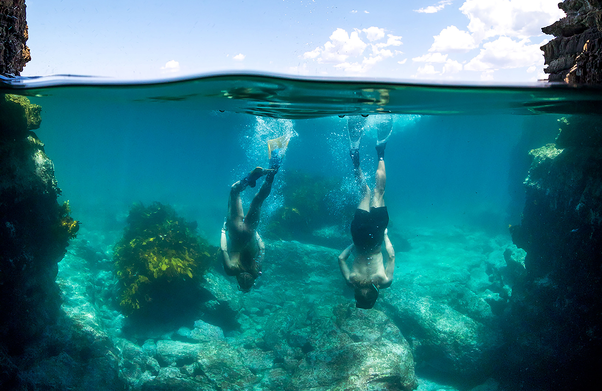 Into the deep: The ultimate guide to freediving