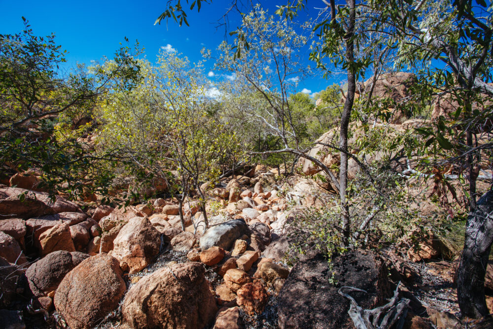 Top 10 places to fossick for gemstones in Australia Australian Geographic