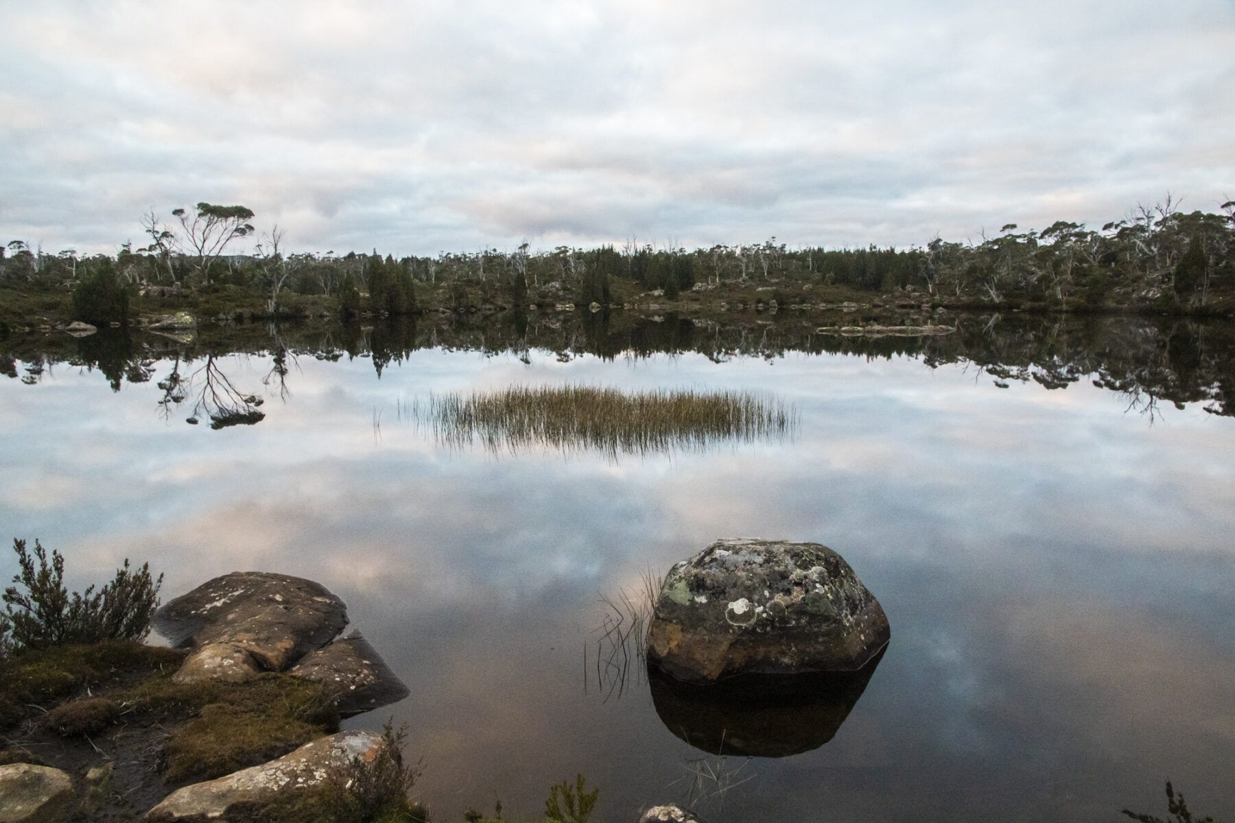 A lake in Tasmania
