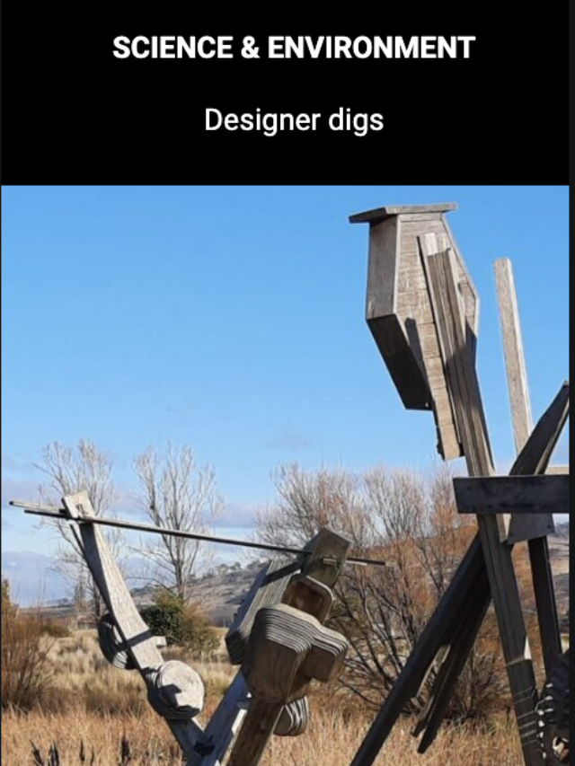 Image for article: Designer digs