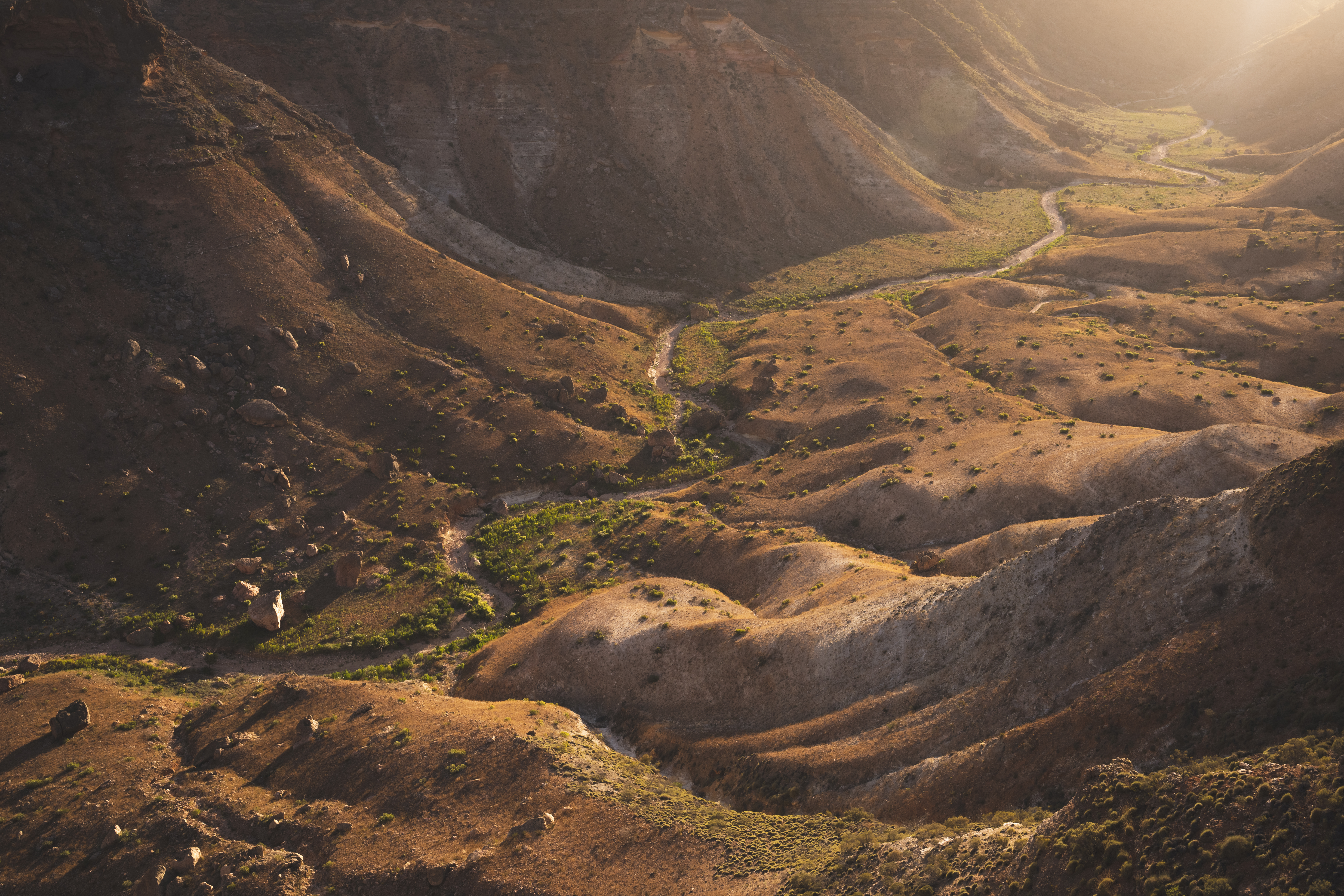 Cape Range NP in Western Australia's rugged limestone canyons and deeply etched valleys provide refuge for a host of iconic native wildlife species, including western grey kangaroos, emus, echidnas, wedge-tailed eagles and black-footed rock-wallabies.