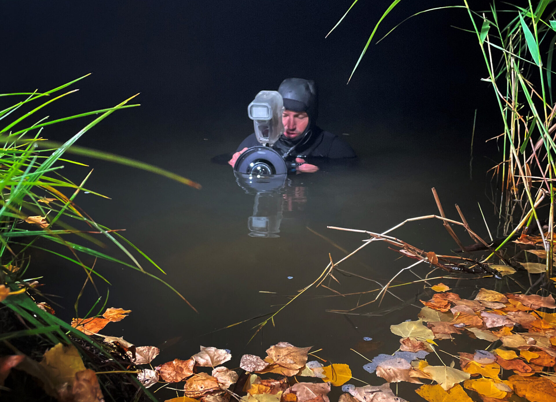 Image for article: Submerged in the wild: photographing elusive platypuses
