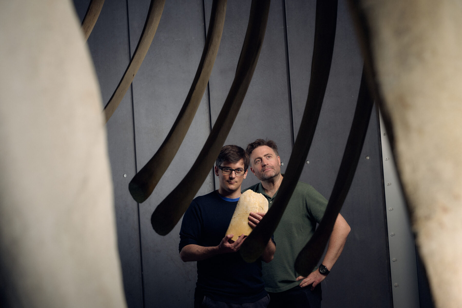 Dr James Rule and Dr Erich Fitzgerald with baleen whale fossil at the Melbourne Museum