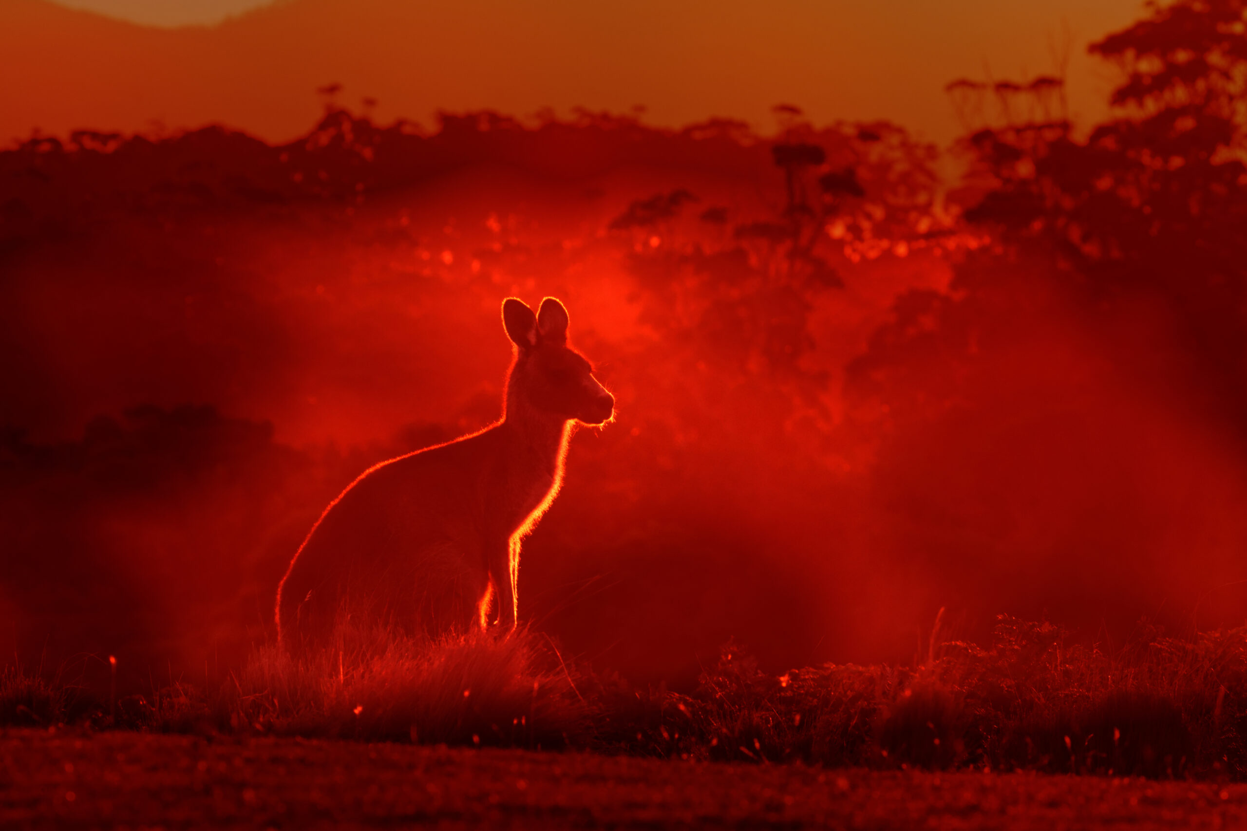 Bushfires have changed the way we holiday