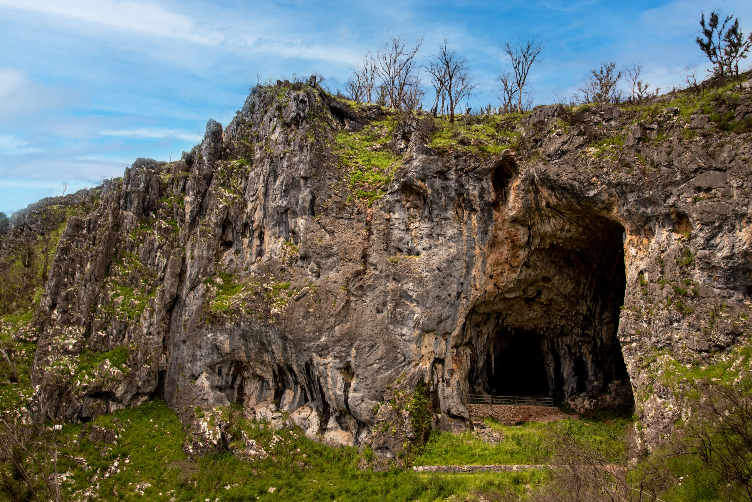 Image for article: Settling squabbles over Australia’s deepest caves