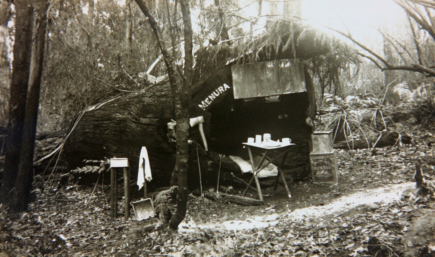 The man who lived in a log