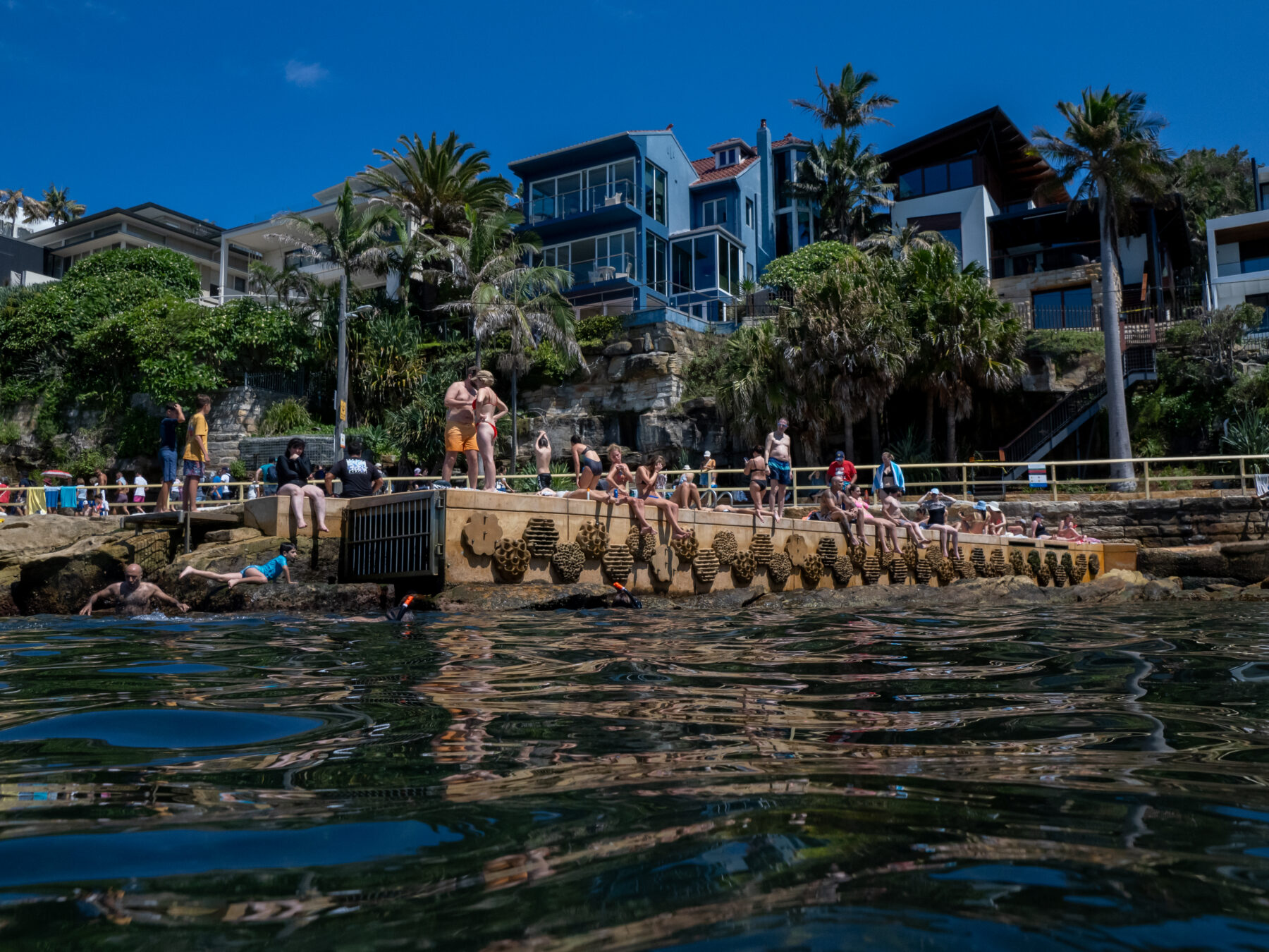 Living Seawall tiles applied to the ocean-facing edge of the Fairy Bower ocean pool, in the Sydney suburb of Manly.
