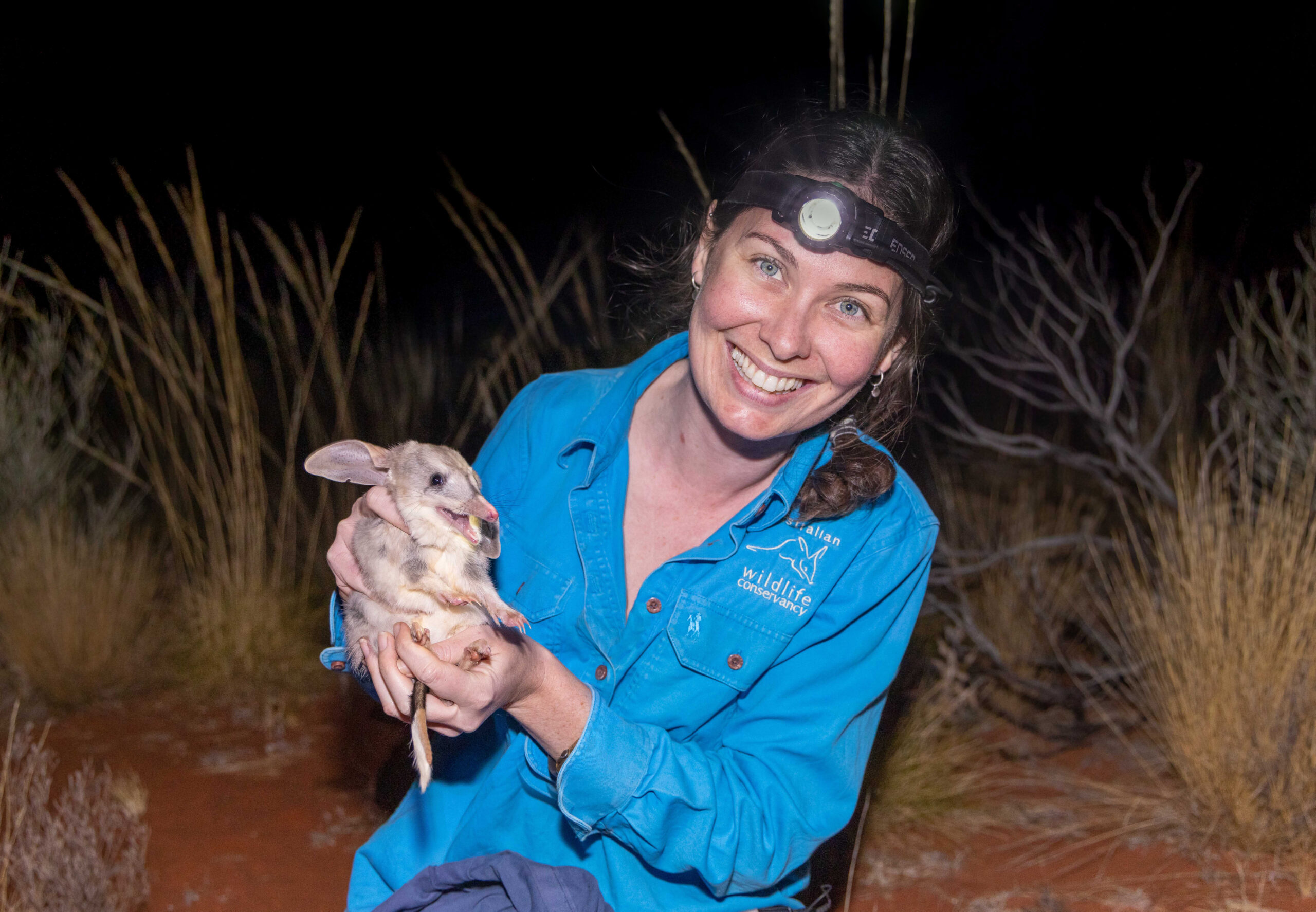 ‘Australia’s Most Endangered’: Introducing Australian Geographic Society’s new fundraisers