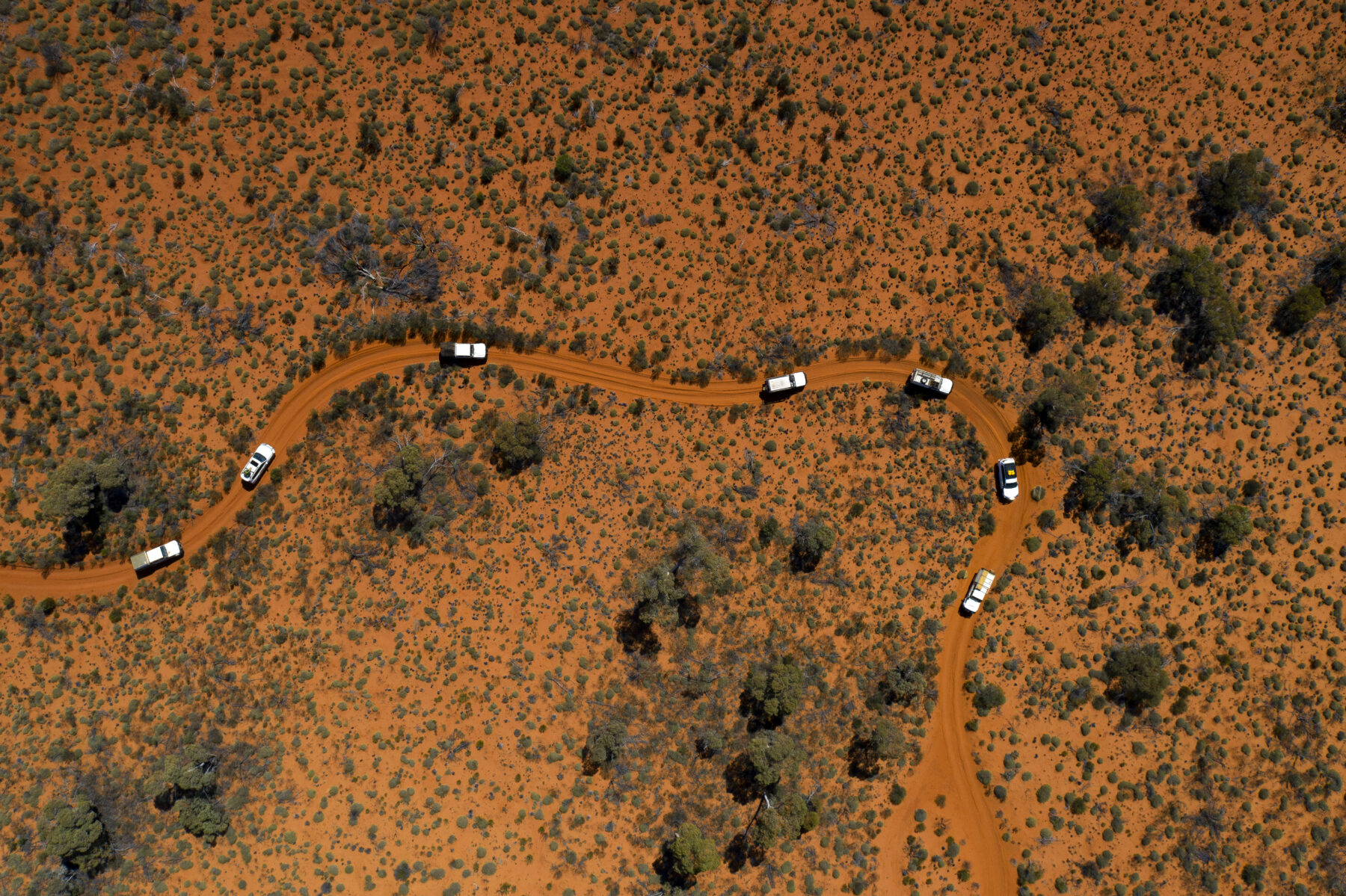 An aerial shot of a road with white cars driving on red dirt with scattered trees and shrubs.
