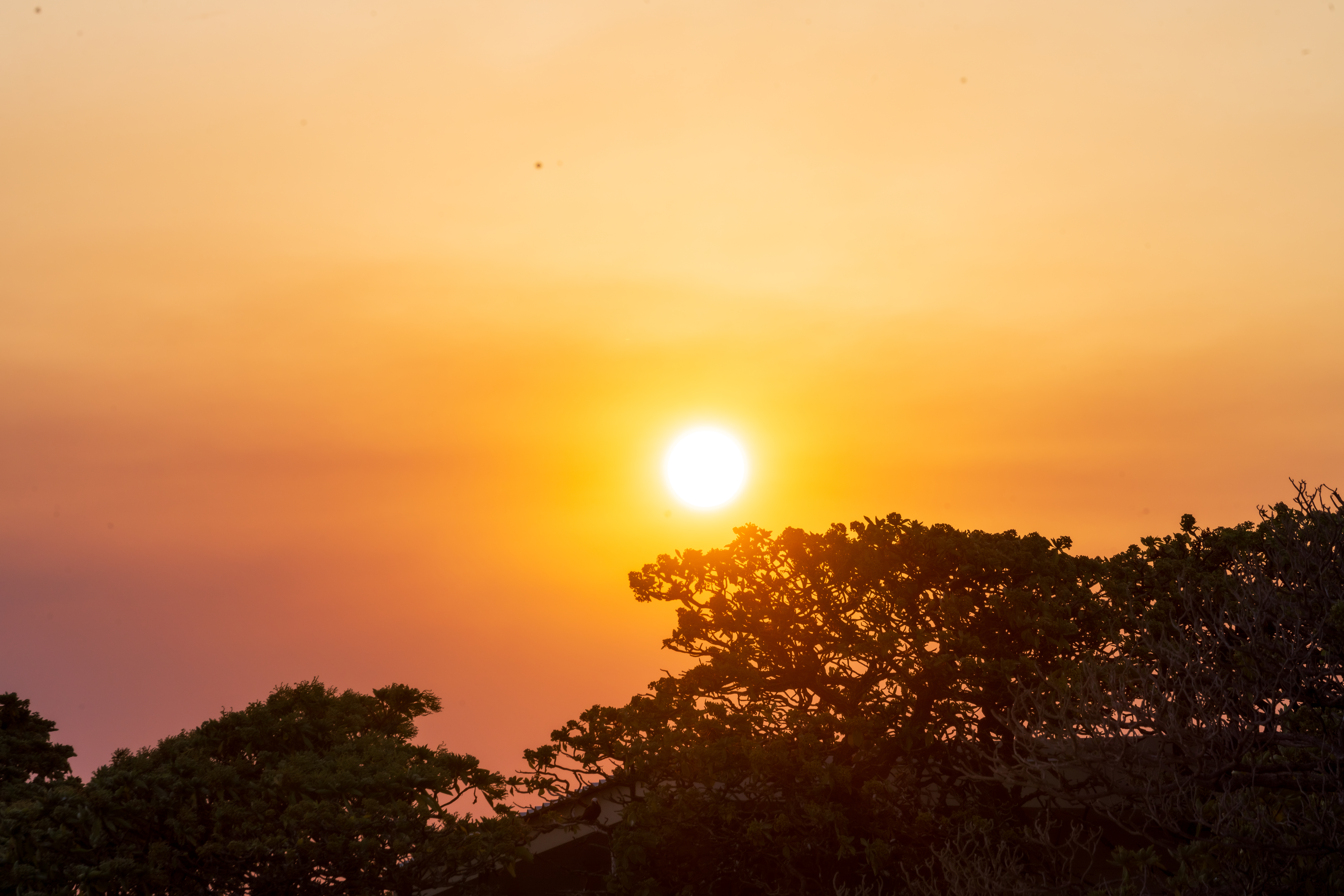 The sun setting over the turtle rookery on Lady Eliot Island.