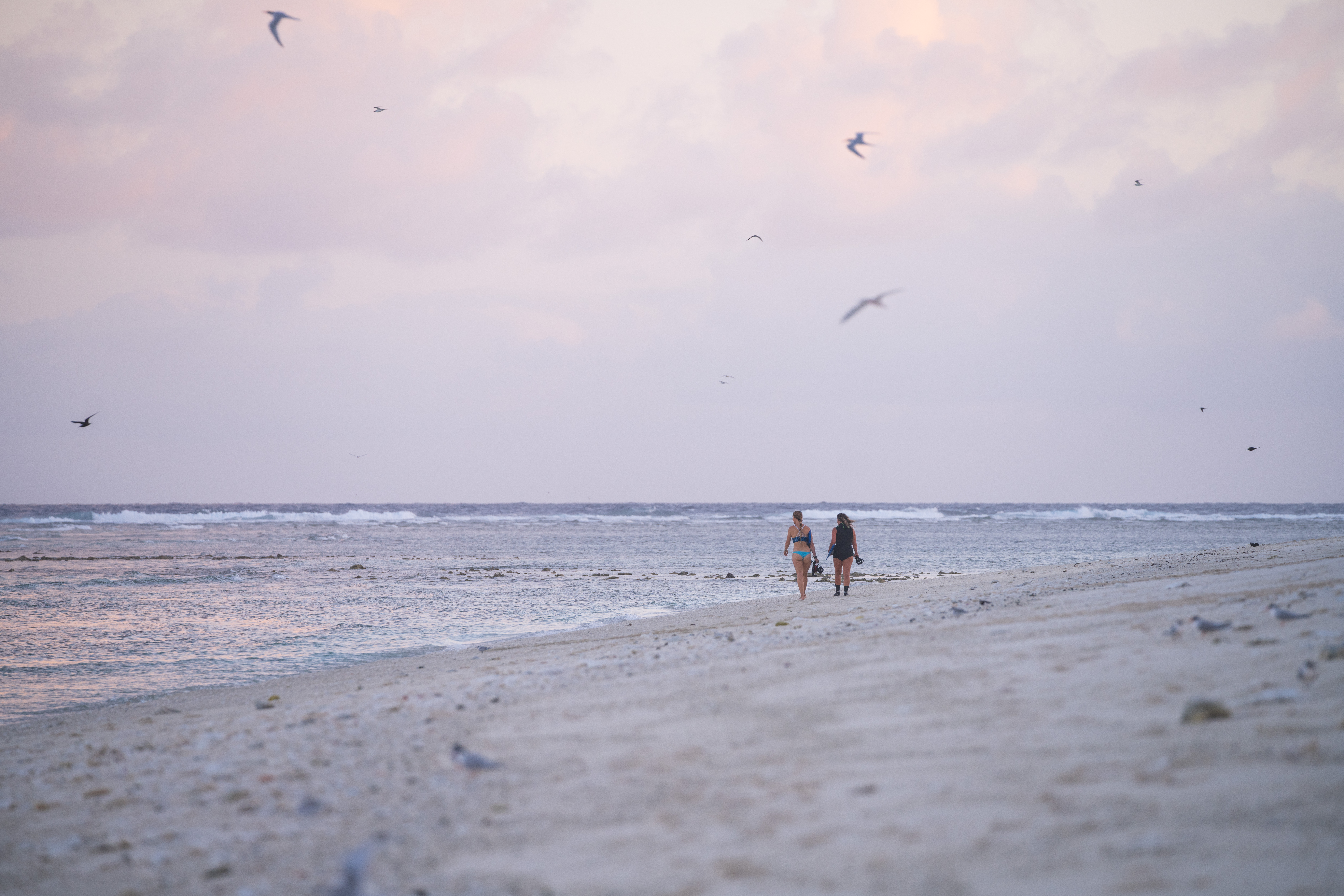 Two women walking on the beach at the Great Barrier Reef Marine Park.