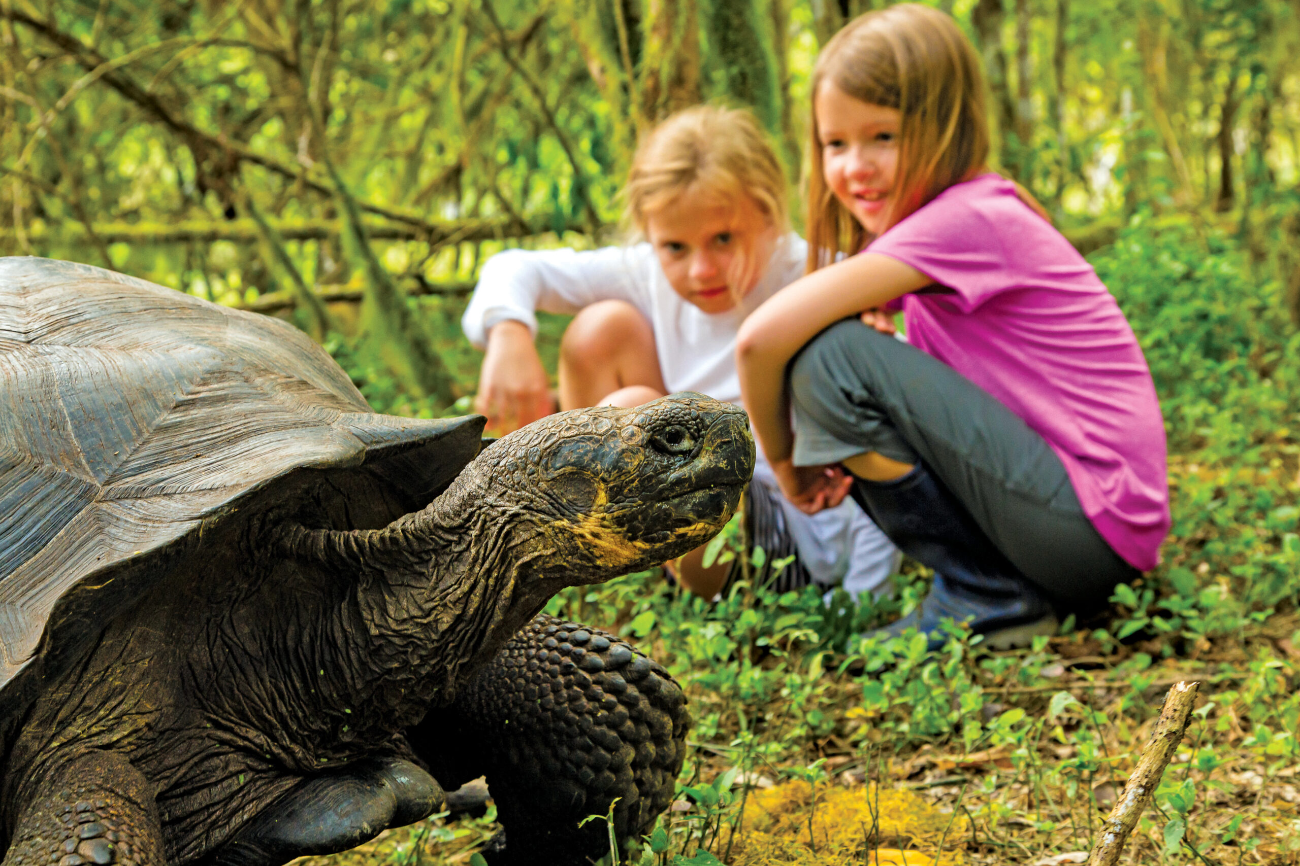 Where nature thrives: Lindblad’s Galápagos