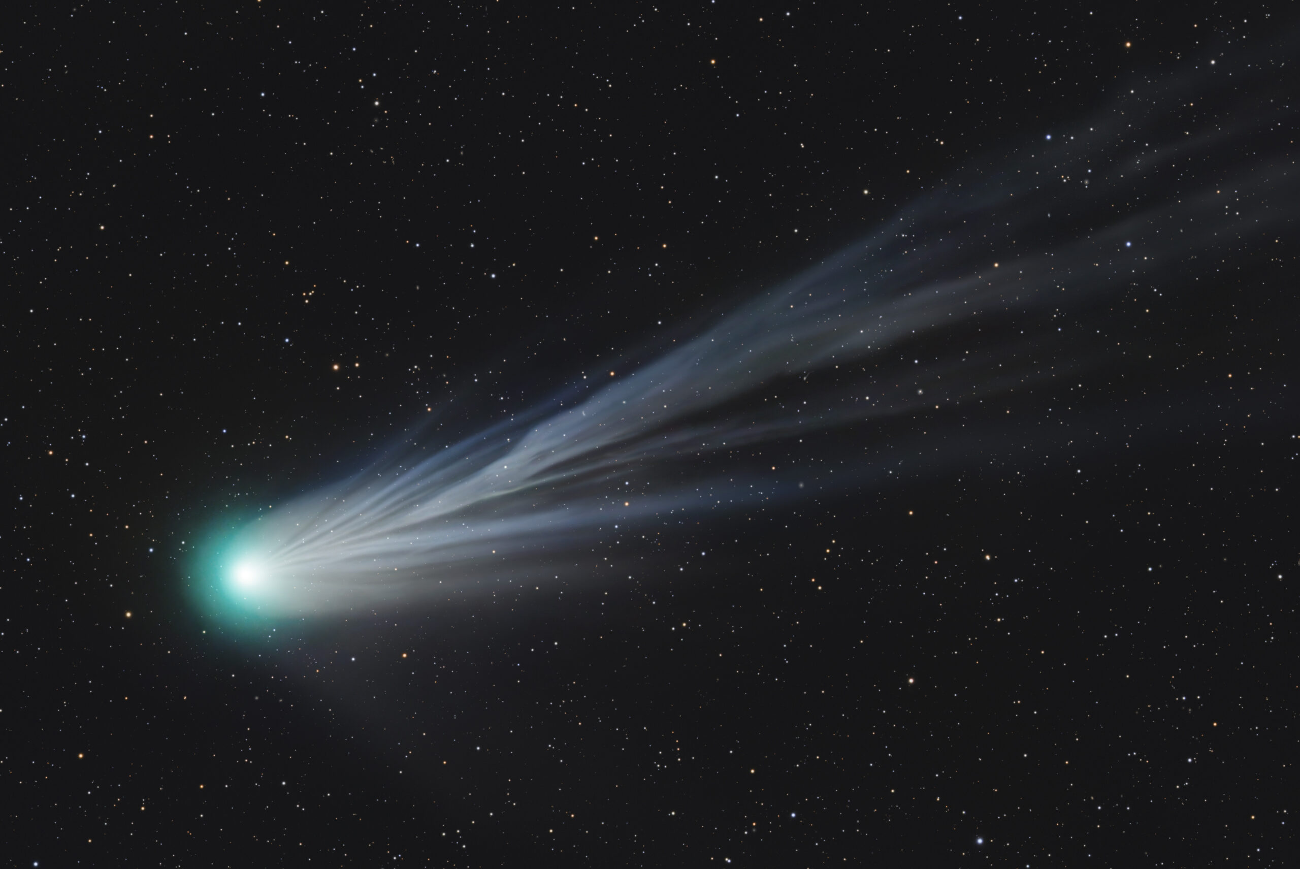 Image for article: How to see the ‘devil comet’ from Australia