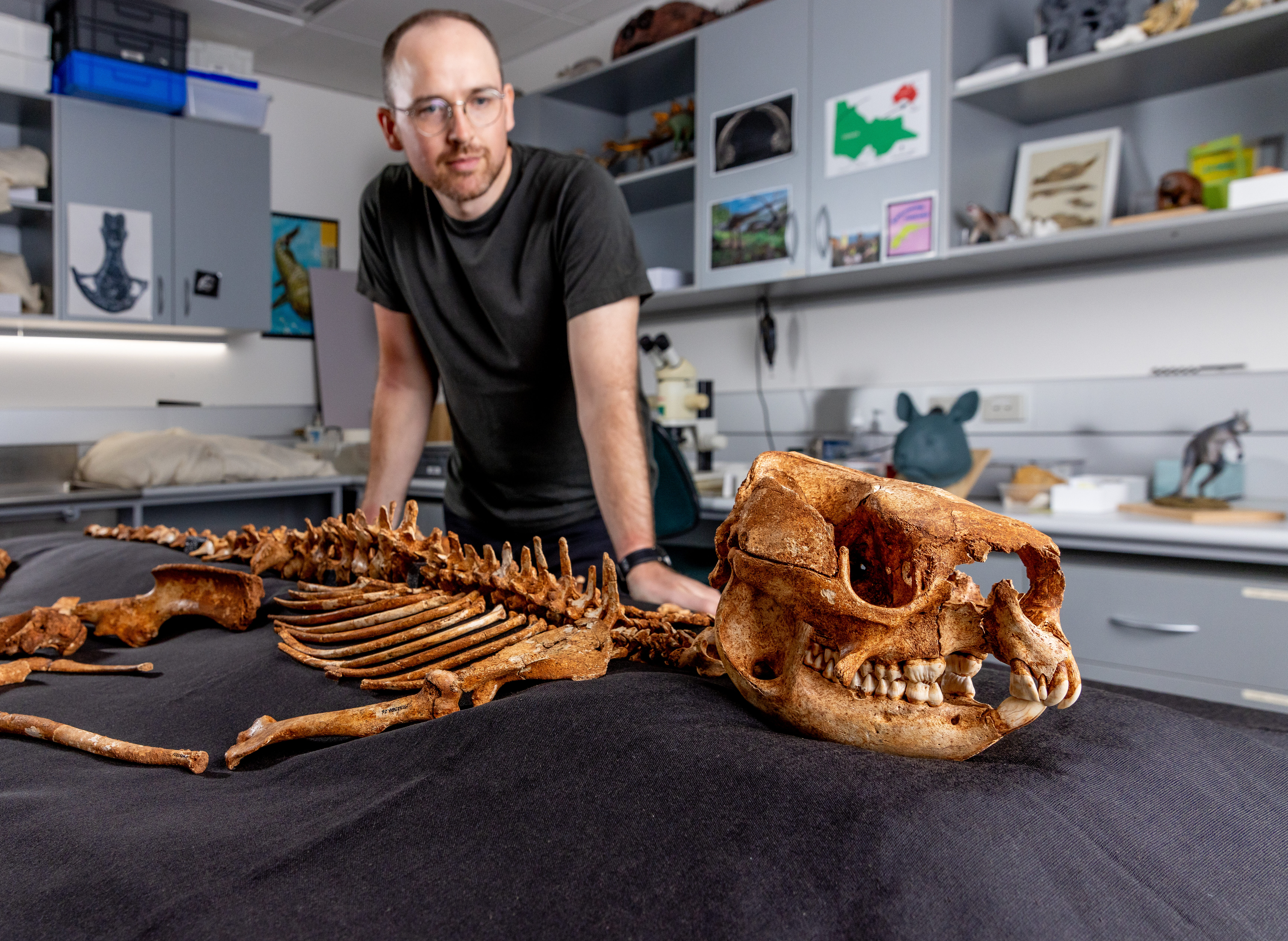 Image for article: Near-complete 50,000 year-old kangaroo skeleton retrieved from underground cave