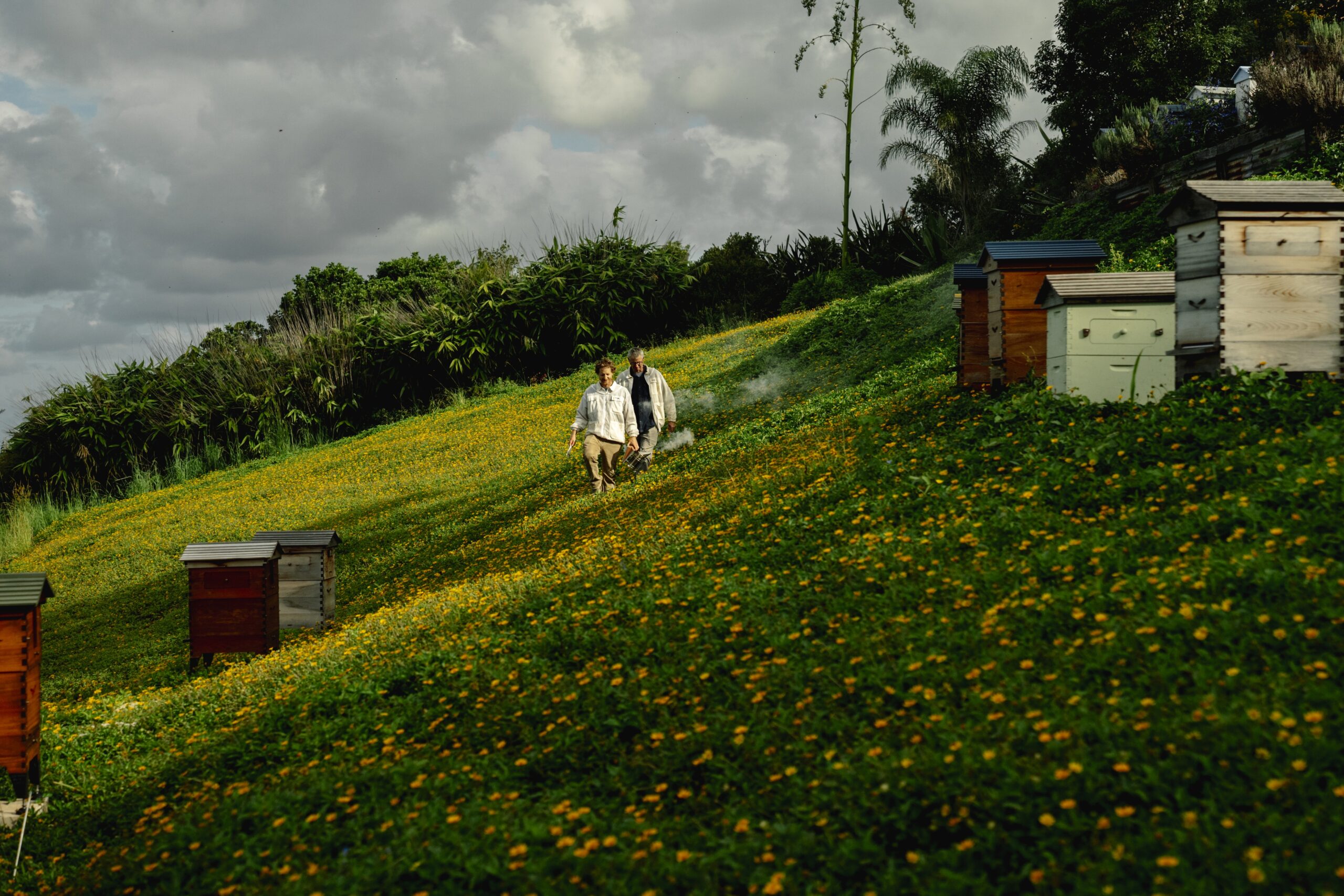Protecting our pollinators