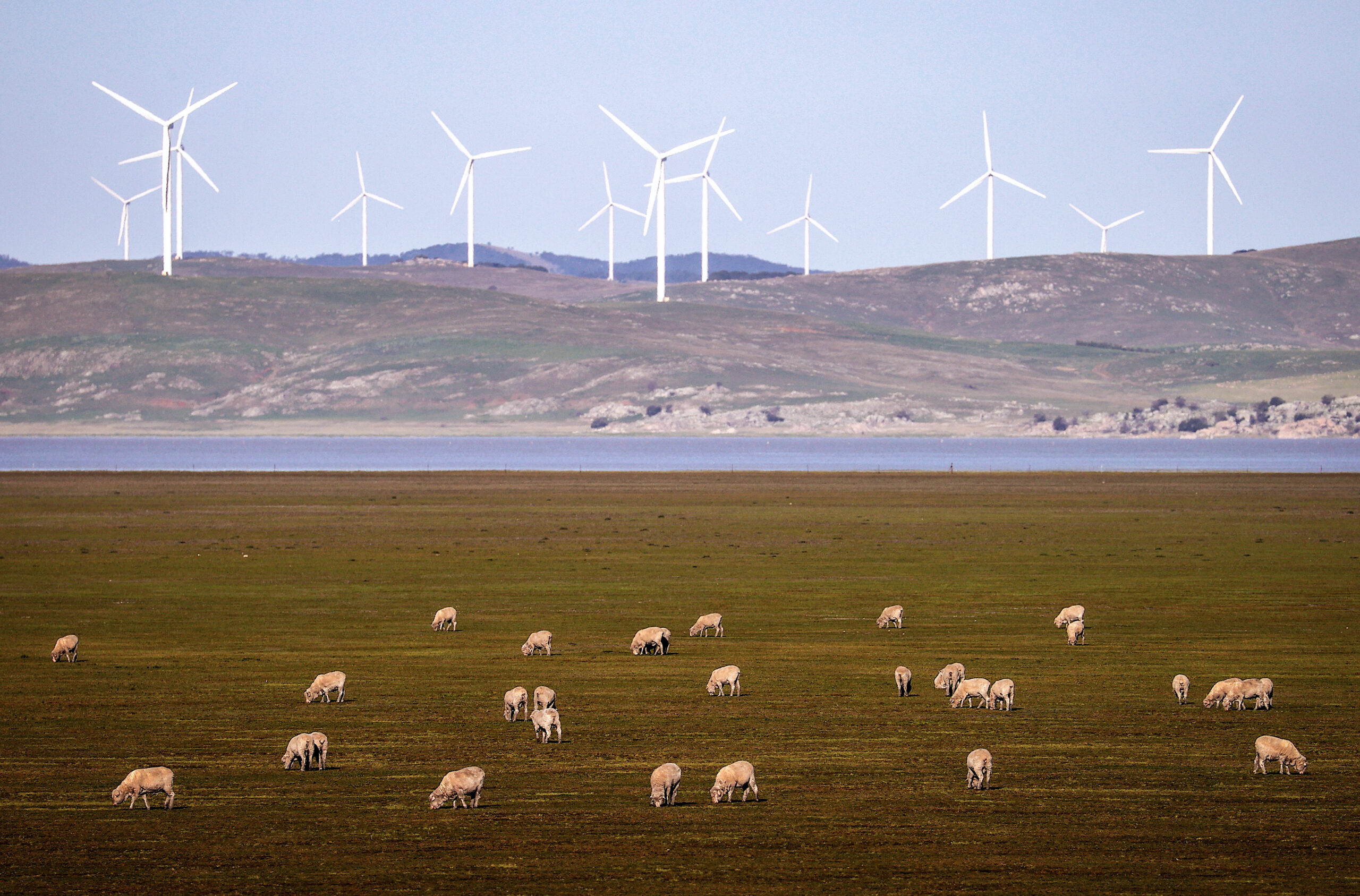 Dr Karl: Renewables and agriculture can coexist