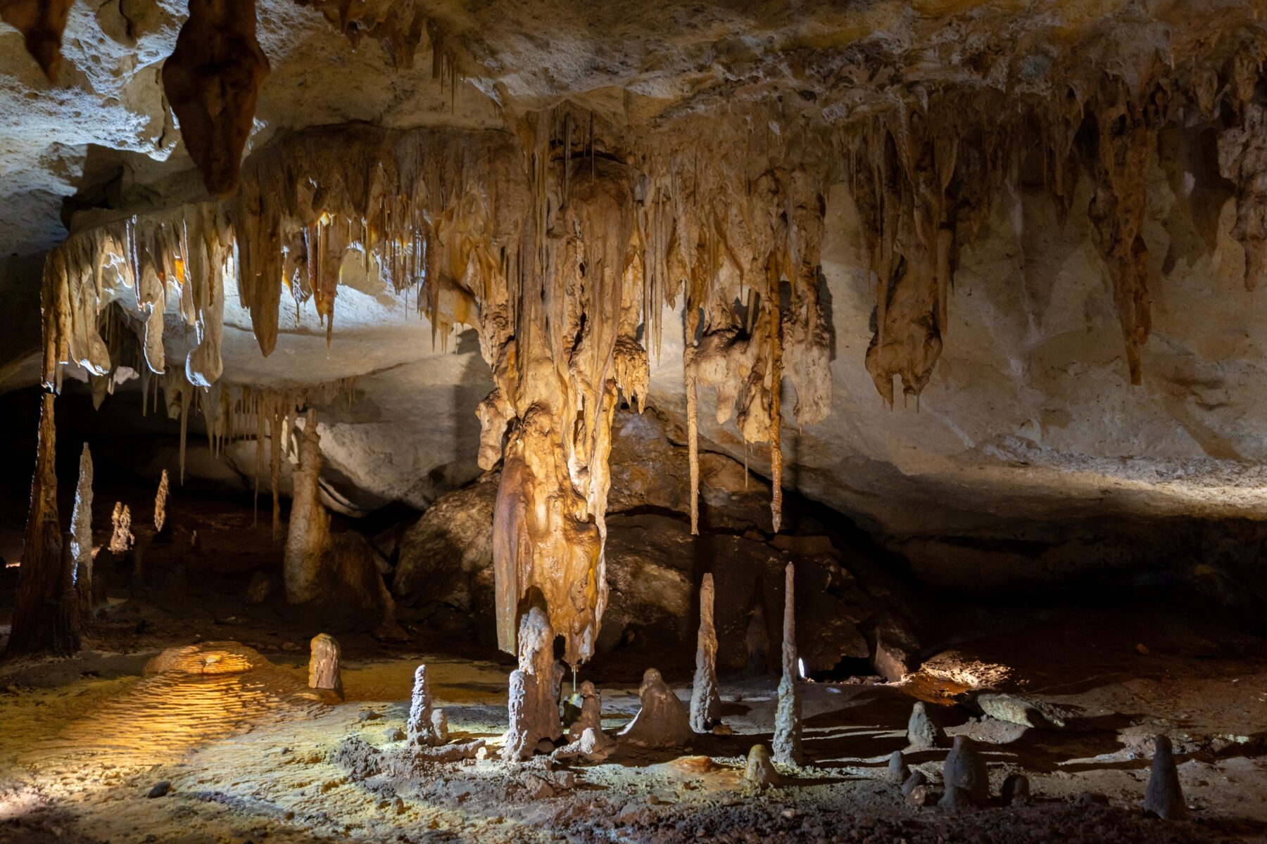 Alexandra Cave in the Naracoorte Caves, South Australia