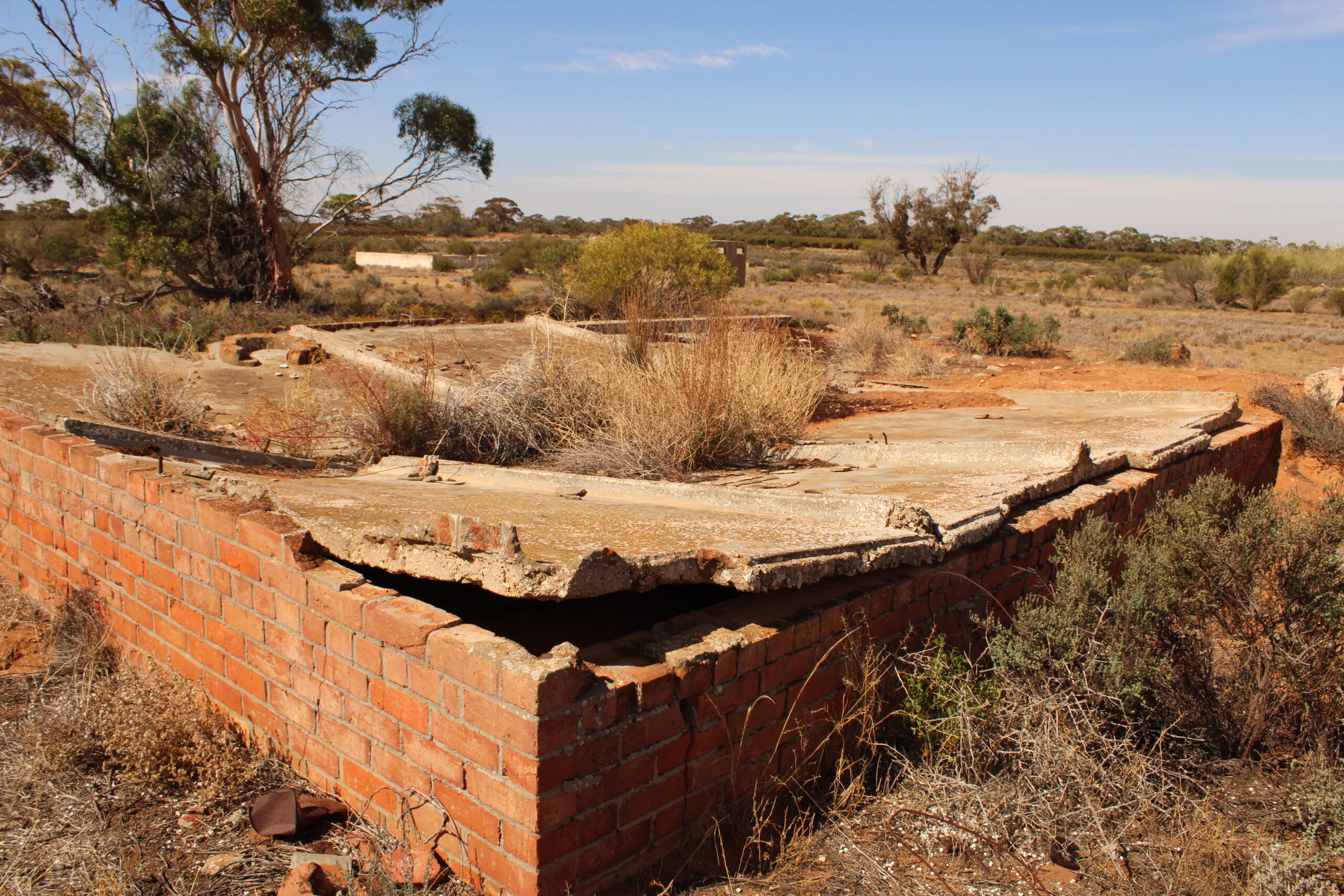 Looking back at Loveday: Australia’s largest WWII internment camp