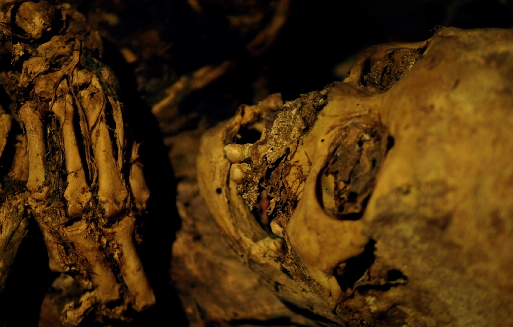 Conserving the Kabayan mummies: from an Australian classroom to the Philippines mountains
