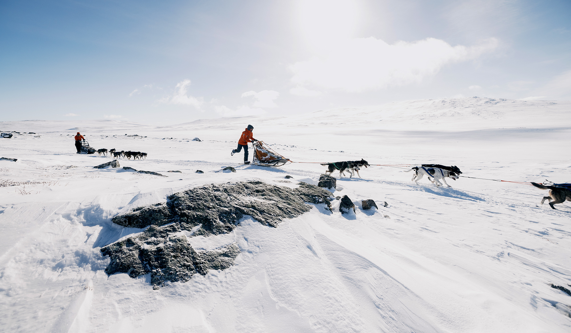 Fast dogs and a frozen land: The Fjällräven Polar Challenge