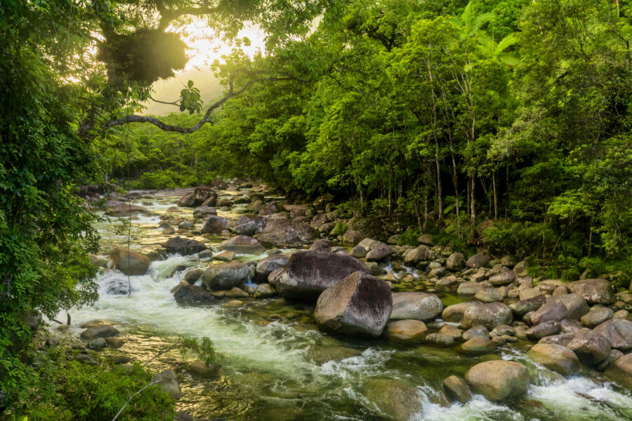 Mossman Gorge in the Daintree National Park