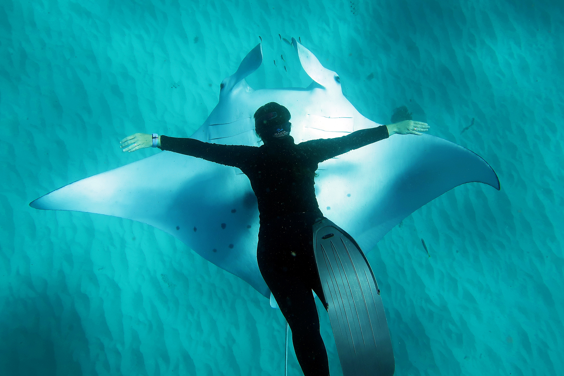a swimmer with a manta ray