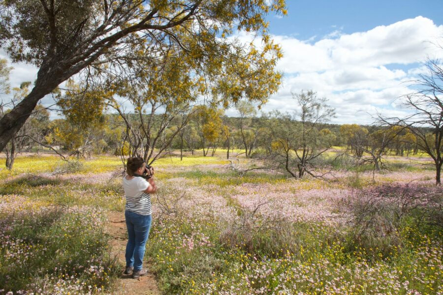 a photographer taking photographs of wildflowers