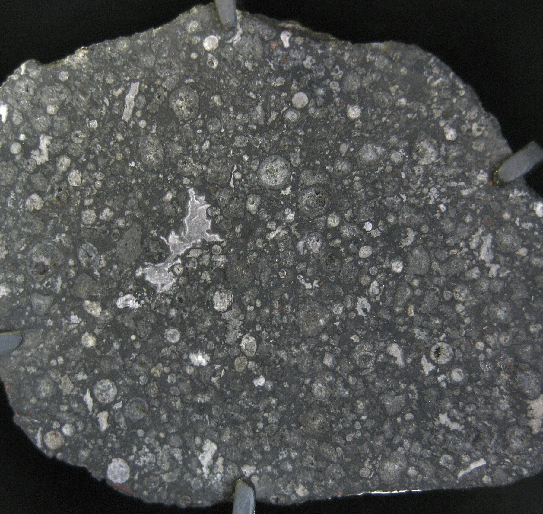 A slab of the Allende meteorite