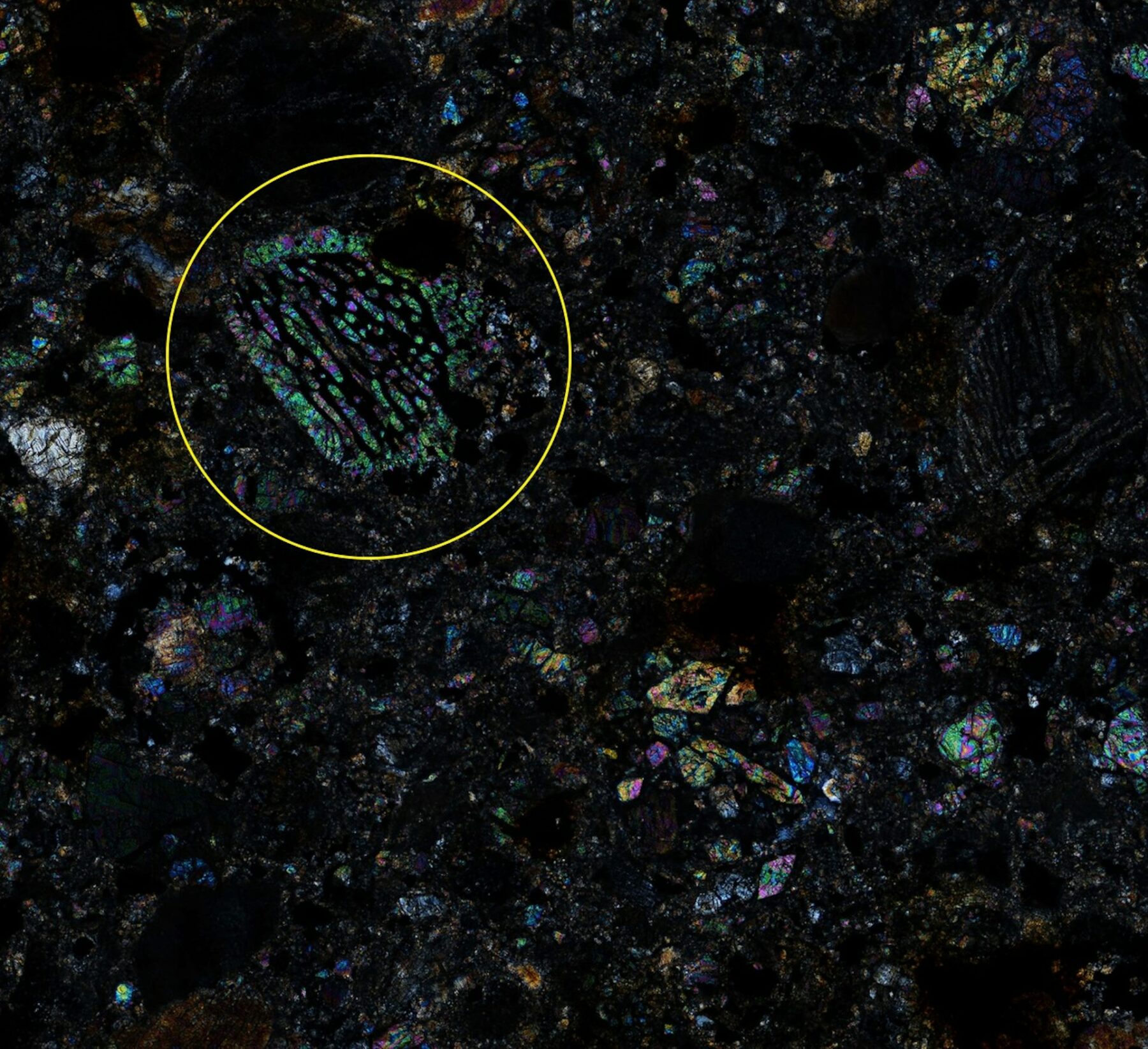 Photomicrograph of an ordinary chondrite meteorite found in northwestern Africa containing small spherical particles of minerals called chondrules. Circled is a barred olivine chondrule.