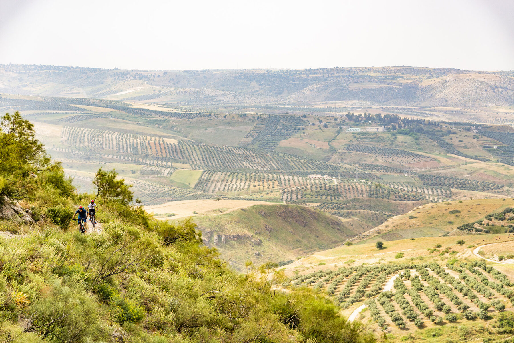 fertile rolling hills in Jordan