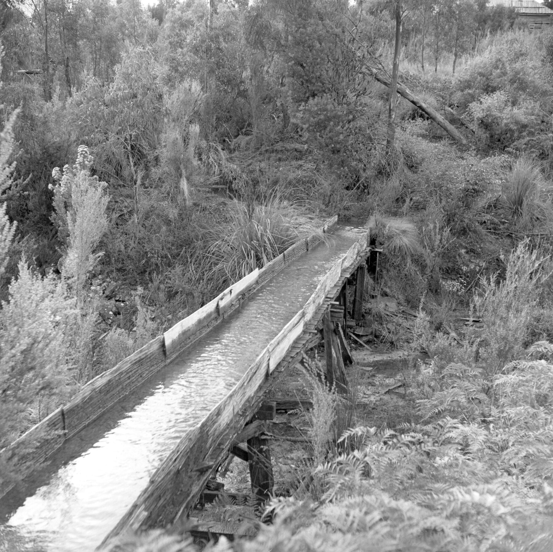 An archive photograph of the mining settlement of Adamsfield