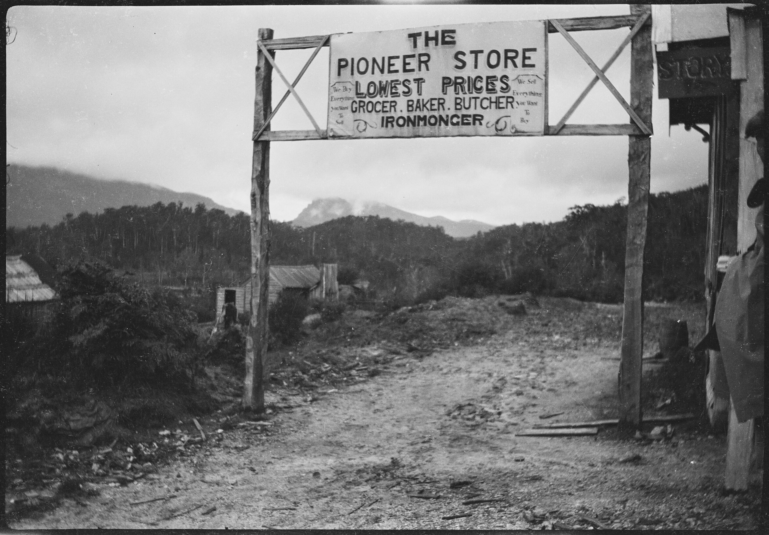 The Adamsfield mining rush